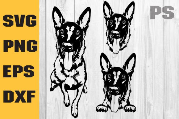 Belgian Malinois Svg, Dog