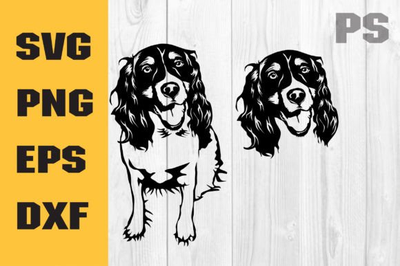 English Springer Spaniel SVG Dog